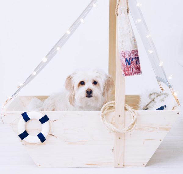 DIY Hunde-Bett. Hundekörbchen als Segelboot selbermachen. titatoni.de