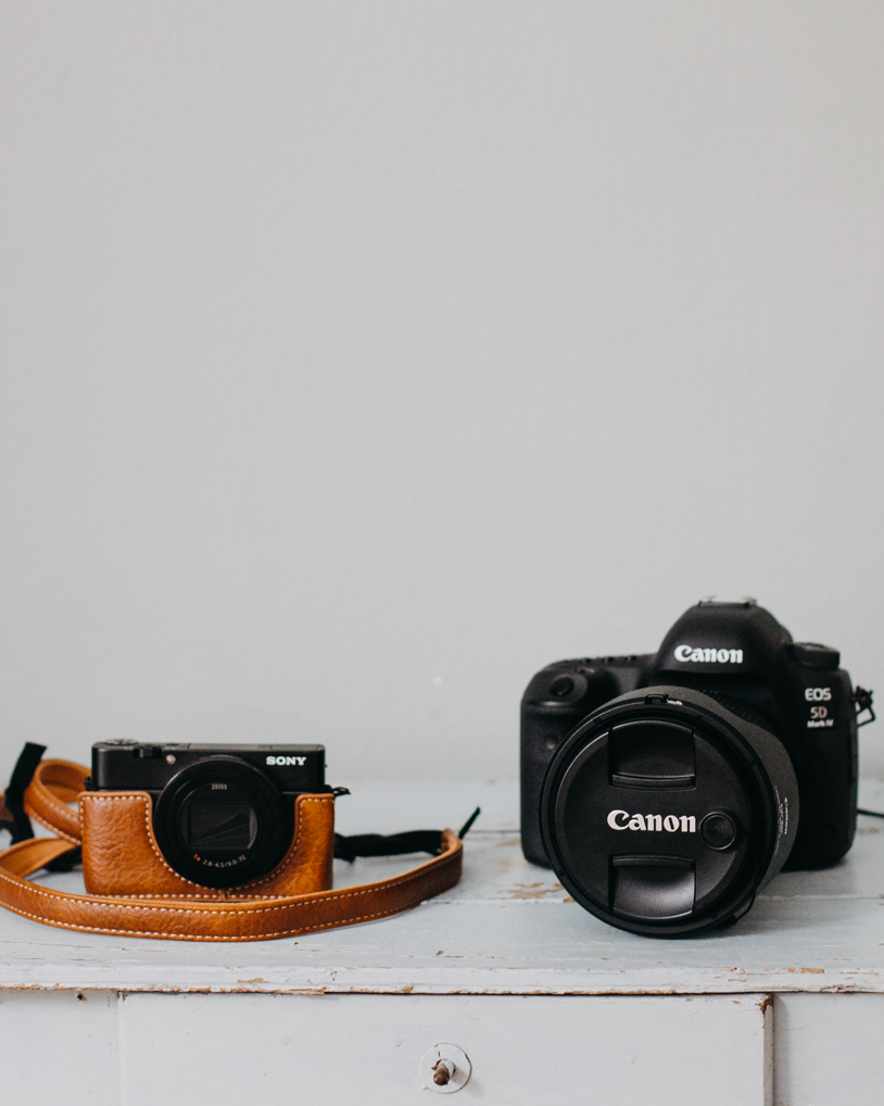 Welche Kamera ist die beste? Vollformat versus Bridge-Kamera. Tipps zum Kamerakauf. titatoni