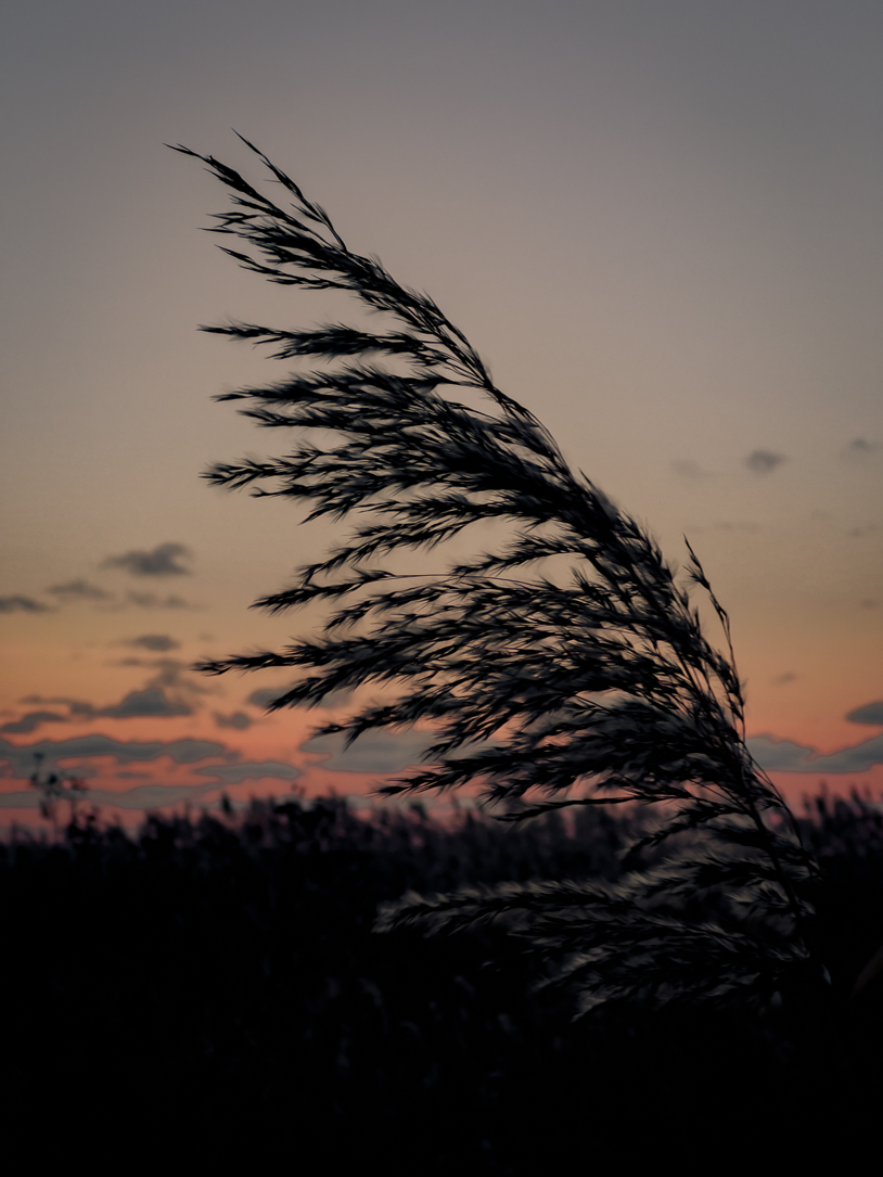 Sonnenuntergang am Meer. Urlaub und Leben in Laboe. titatoni.de